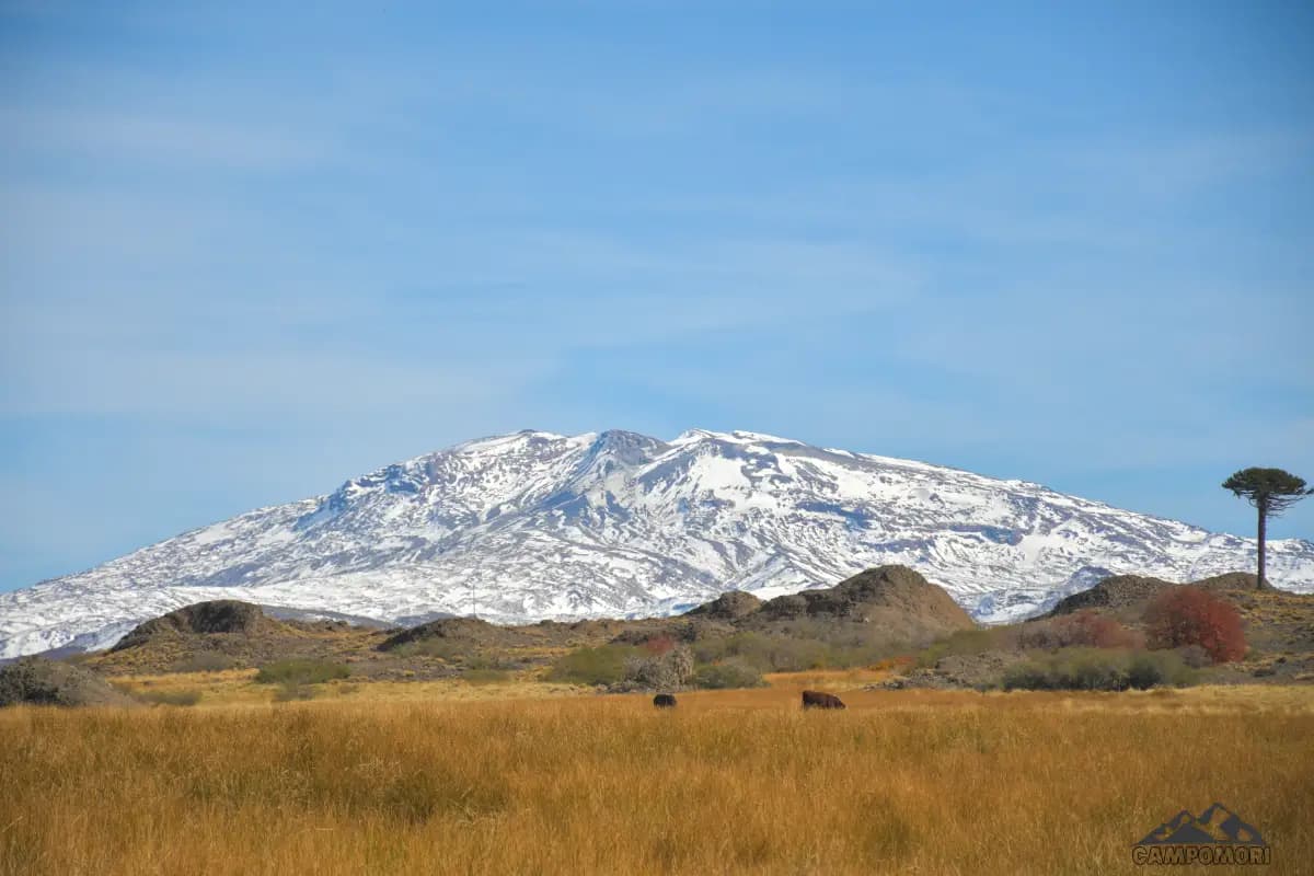 VOLCAN COPAHUE